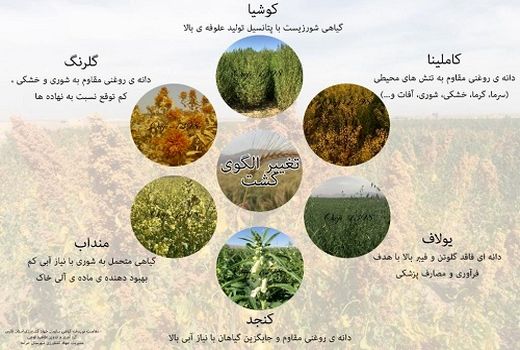 گیاهان جدید در کارگاه آموزشی زرقان معرفی شدند