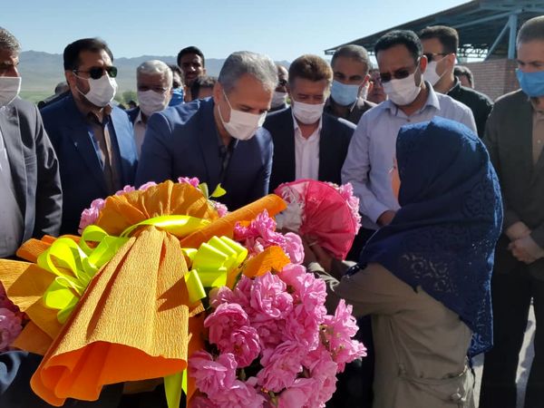 کشاورزی قراردادی در صنایع تبدیلی یک موفقیت است