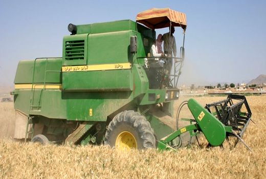 20 درصد غلات در شهرستان ایلام برداشت شد