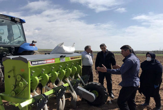 کشت مکانیزه نخود برای نخستین بار در شهرستان مراغه