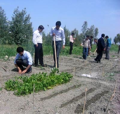 کانون‌های ظرفیت‌سازی جوانان روستایی ساماندهی می‌شود