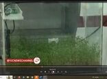 ساخت گلخانه هوشمند در چهارمحال وبختیاری