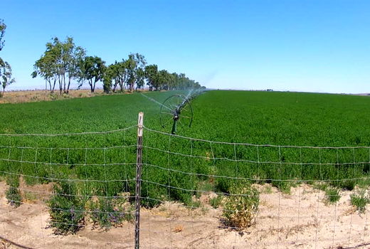 سامانه‌های نوین آبیاری به داد کویرنشینان می‌رسد  