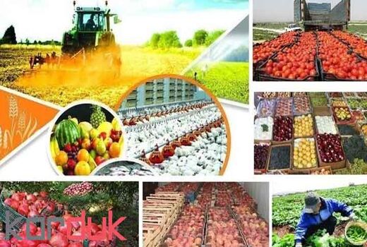 توسعه صنایع تبدیلی و مکانیزاسیون راه تحقق امنیت غذایی پایدار است