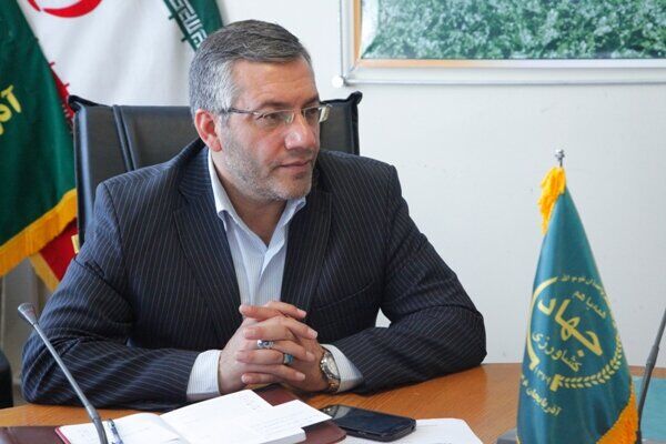 کشاورزی قراردادی پایداری تولید را تضمین می‌کند