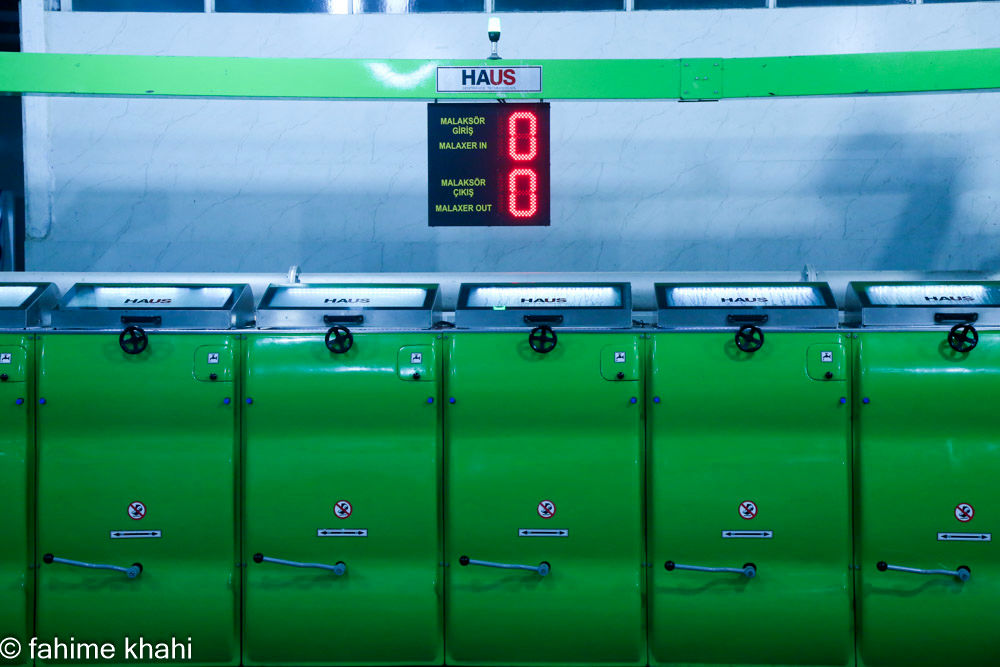 از لمس شاخه تا عصاره ی نور  