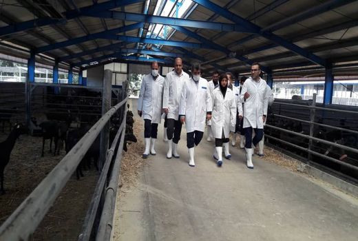 بازدید معاون هماهنگی امور اقتصادی وزارت کشور از یک واحد کشت و صنعت در استان قزوین