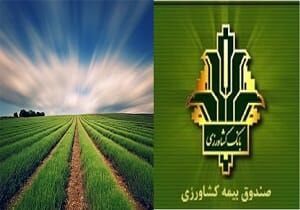 بیش از چهار هزار هکتار از اراضی زراعی مهاباد تحت پوشش بیمه کشاورزی قرار گرفت
