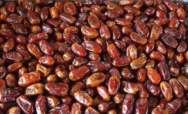  برداشت خرما از نخلستان های فسا آغاز شد 