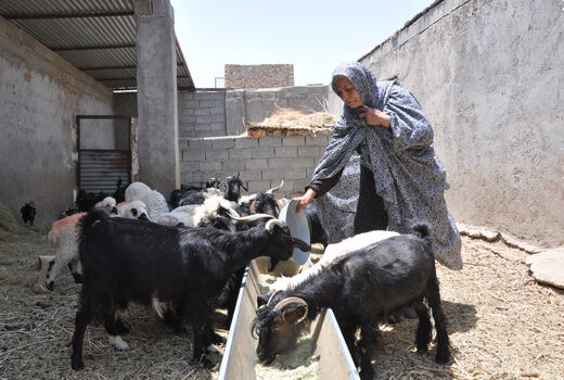 بیش از 2 میلیارد ریال تسهیلات به زنان روستایی سیستان و بلوچستان پرداخت شد