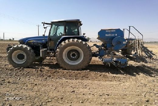  کاشت دانه روغنی کلزا در زرین دشت ادامه دارد 