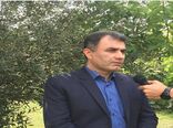 ظهور نخستین خوشه های برنج در گیلان
