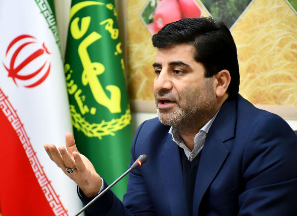 خرید مرغ مازاد مرغداران استان آذربایجان شرقی  آغاز شد