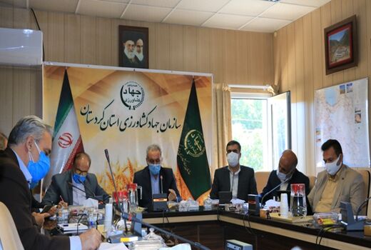 افزایش بودجه بخش کشاورزی کردستان انتظار از نمایندگان مجلس است
