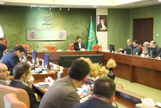 تأمین پروتئین کشور در گرو حمایت از دام سبک/ ساختار تشکلی در تمام زیربخش‌های کشاورزی تقویت شود