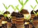 پرداخت ۱۷۱ میلیارد تومان تسهیلات کشاورزی در خراسان جنوبی