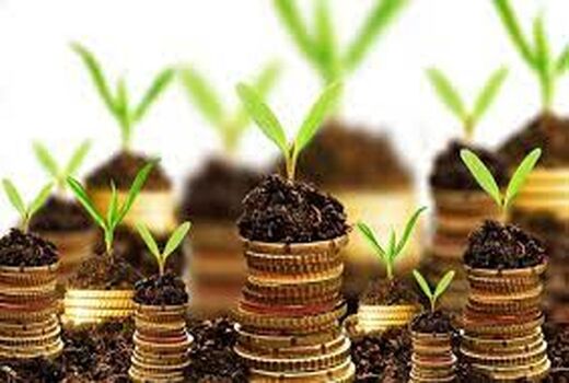 پرداخت ۱۷۱ میلیارد تومان تسهیلات کشاورزی در خراسان جنوبی