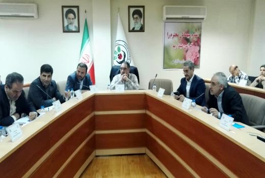 ضرورت مشارکت باغداران در مبارزه با آفت کرم خراط گردو
