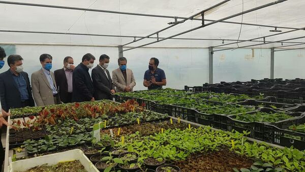 بازدید مشاور وزیر کشاورزی از پروژه‌های جهش تولید در شهرستان‌های شرق استان تهران