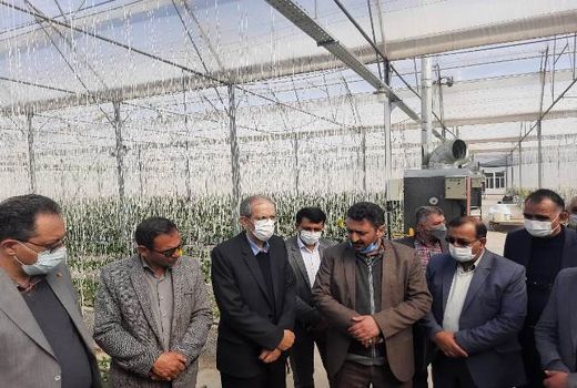 افتتاح گلخانه‌های هیدروپونیک با رویکرد صادراتی در دهاقان