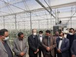 افتتاح گلخانه‌های هیدروپونیک با رویکرد صادراتی در دهاقان