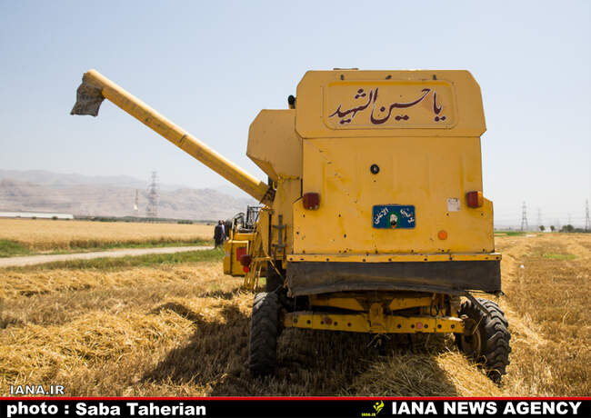 برداشت مکانیزه گندم
