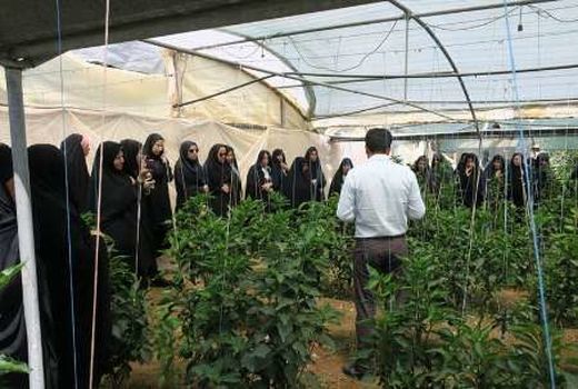 رشد 29  درصدی دوره های آموزشی مهارتی ترویجی کشاورزی در خراسان شمالی