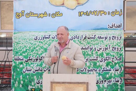 برنامه کشت قراردادی سیب زمینی تا یک‌ هزار هکتار برای استان قزوین