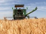 پیش‌بینی برداشت 100 هزار تُن گندم در چهارمحال و بختیاری