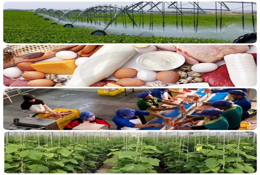 75 پروژه تولیدی و عمرانی بخش کشاورزی به بهره برداری می‌رسد