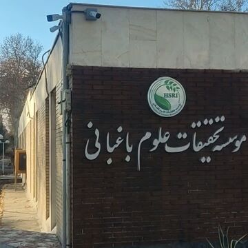 نیم‌قرن جهش علمی در باغبانی ایران؛ از باغداری سنتی تا تولید دانش‌بنیان