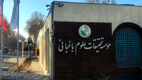 نیم‌قرن جهش علمی در باغبانی ایران؛ از باغداری سنتی تا تولید دانش‌بنیان