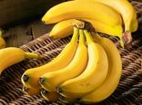 اجرای اولین گلخانه مدرن موز در یزد
