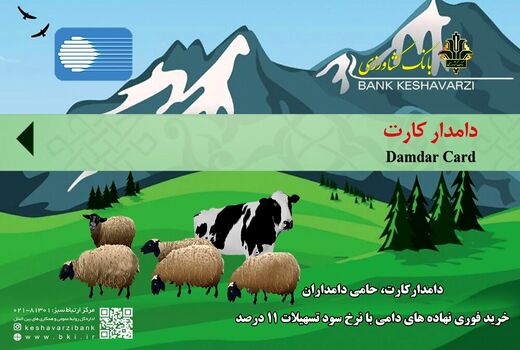 توزیع 179 هزار تن نهاده دامی بین واحدهای تولیدی آذربایجان غربی