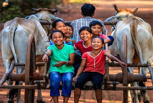 مقاومت میکروبی سالانه ۷۰۰ هزار نفر را به‌کام مرگ می‌کشد