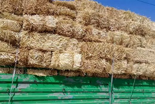  جمع آوری بیش از 200 هزار تن کاه در مرودشت 