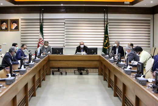 لزوم بهره‌گیری از ظرفیت آب سبز در دیم‌زارها در سال جهش تولید