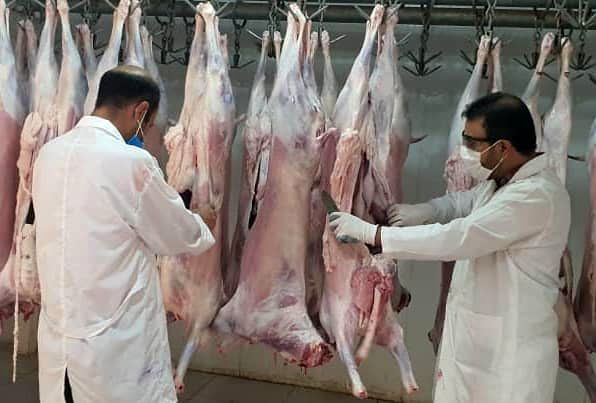 نظارت بهداشتی و شرعی  48 اکیپ ثابت و سیار دامپزشکی بر کشتار دام های نذری در آذربایجان غربی
