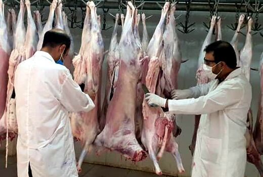 نظارت بهداشتی و شرعی  48 اکیپ ثابت و سیار دامپزشکی بر کشتار دام های نذری در آذربایجان غربی
