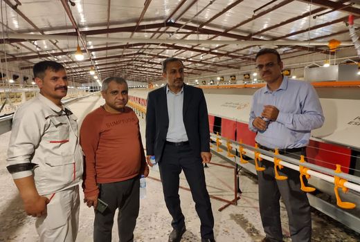 طرح‌های تولیدی در استان بوشهر حمایت می‌شوند