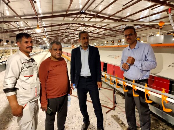 طرح‌های تولیدی در استان بوشهر حمایت می‌شوند