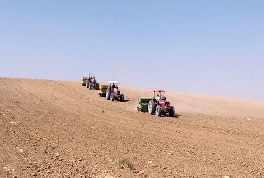 کشت ۴۵ هزار هکتار گندم در اراضی کشاورزی شهرستان آوج