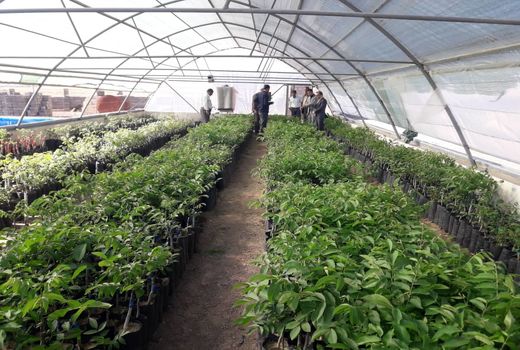 بازدید فرماندار نایین از پروژه های مدیریت جهاد کشاورزی  نایین 