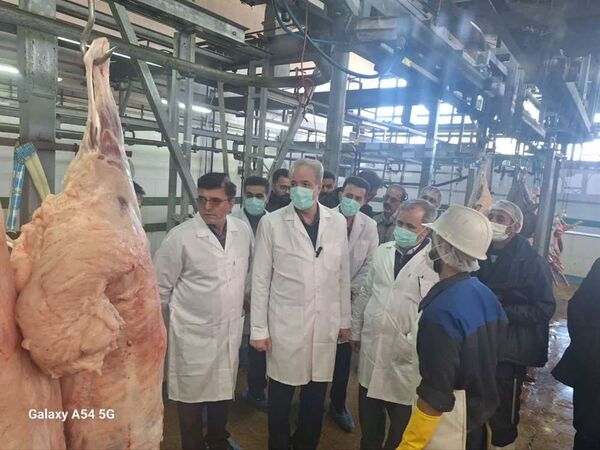 توافق بر خرید حمایتی ۱۰ هزار راس دام سنگین در کشور/ خراسان شمالی پیشتاز در خرید حمایتی دام