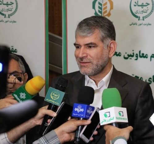 الگوی کشت از هفته آینده در کشور اجرا می‌شود