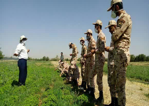  برگزاری دوره آموزشی کشت و پرورش گیاهان داروئی ویژه سربازان وظیفه