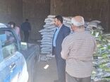 کشف 10 تن کود شیمیایی و مکمل تغذیه‌ای گیاهی غیرمجاز در شیراز