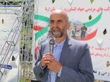  کشت دانه‌های روغنی از مرز ۱۰ هزار هکتار گذشت
