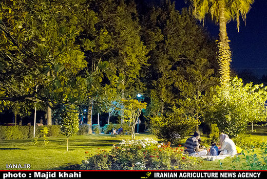 افطار در فضای سبز شهری 