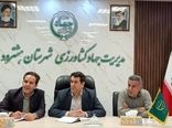 رصد به‌موقع سن گندم و زنگ زرد، کلید حفظ عملکرد و کیفیت محصول گندم در مزارع آذربایجان شرقی است